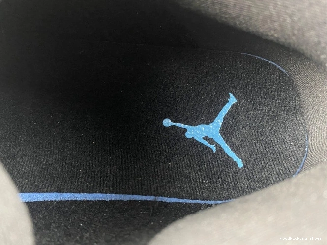 Blue Air DJ5982-041 University Jordan 13 0710